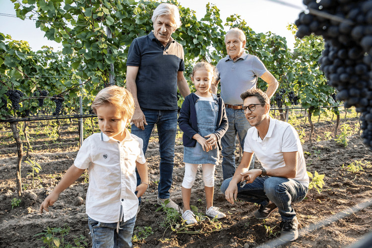 Weingut Salzl