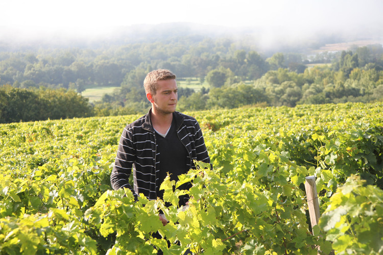 Domaine Gérard Fiou