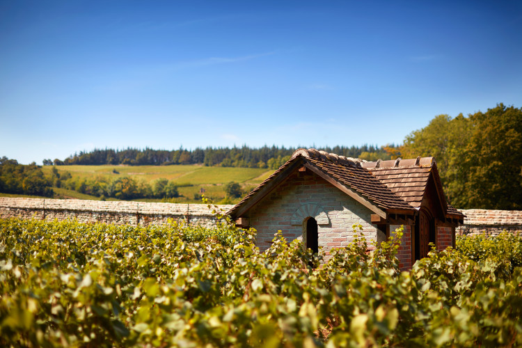 Domaine de la Bressande
