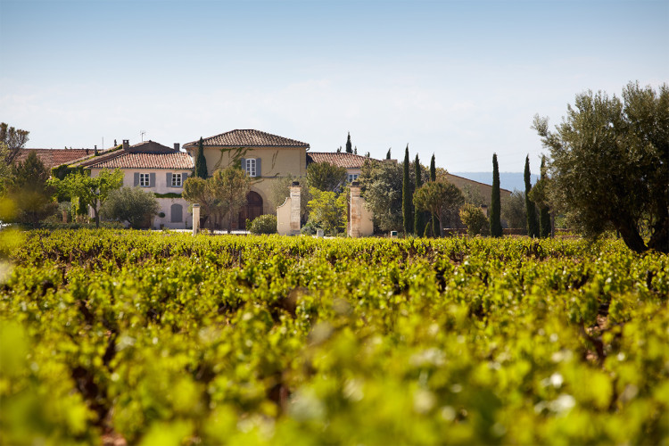 Château de Beaucastel