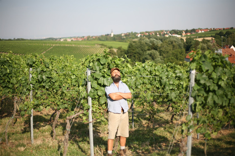 Weingut Hammel
