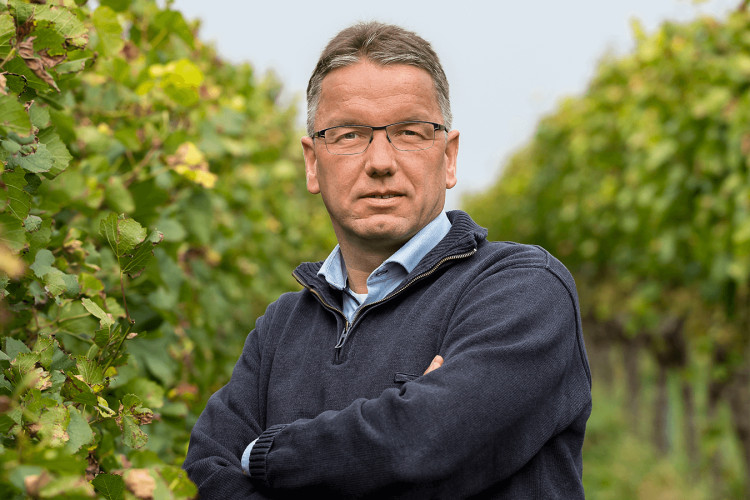 Weingut Walz