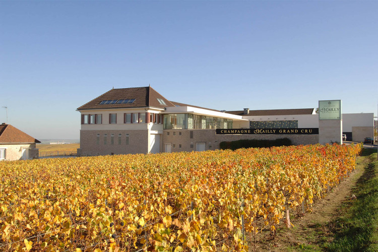 Champagne Mailly