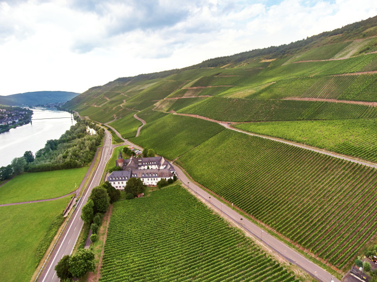 VDP.Weingut Reichsgraf von Kesselstatt