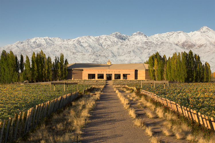Bodegas Salentein