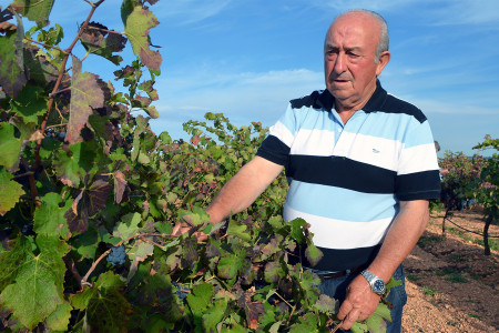 Bodegas Navarro López