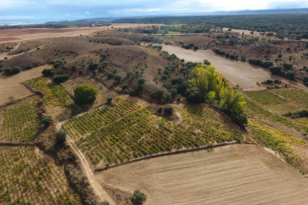 Bodegas Dominio de Atauta