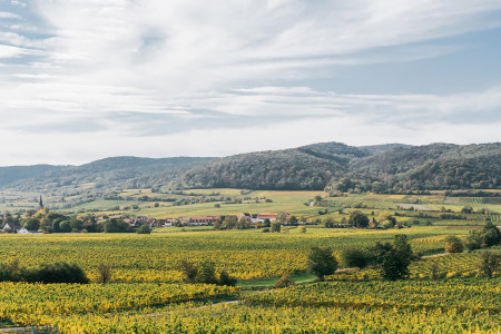 VDP.Weingut Georg Mosbacher