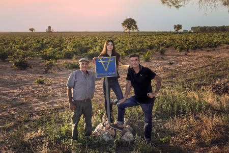 Bodegas Volver
