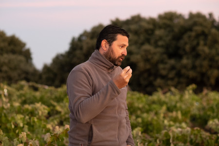Bodegas Dominio de Atauta