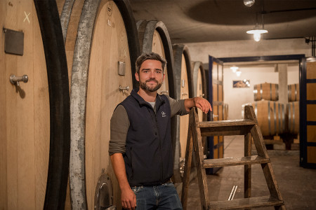 Weingut Polz