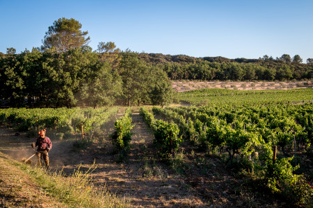 Commanderie de Peyrassol