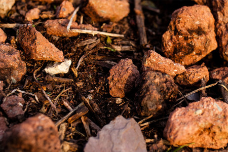 VDP.Weingut Dr. Loosen