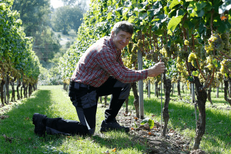 VDP.Weingut Künstler