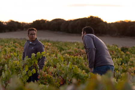 Bodegas Dominio de Atauta