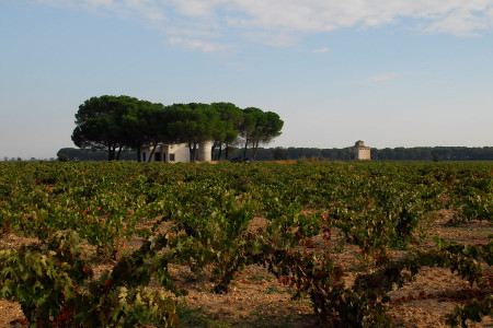 Bodegas Volver