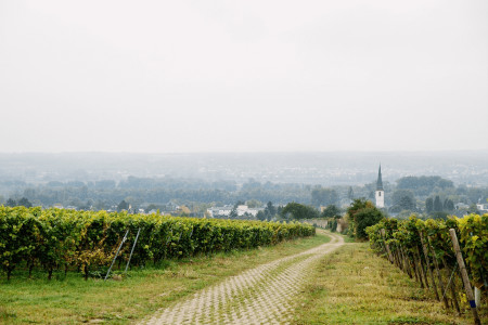 VDP.Weingut Jakob Jung