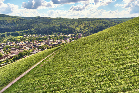 VDP.Weingut Reichsgraf von Kesselstatt