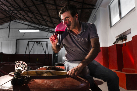 Bodegas Volver