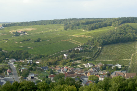 Domaine Gérard Fiou