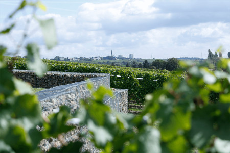 VDP.Weingut Künstler