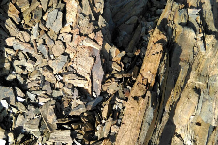 Bodegas San Alejandro