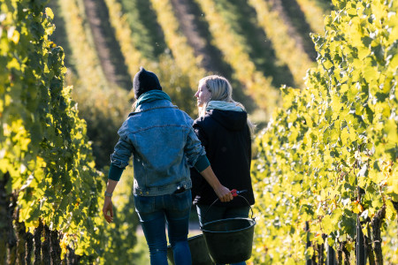 Stefan Winter - Hillview