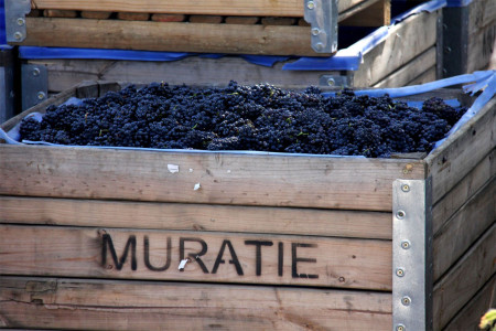 Muratie Wine Estate