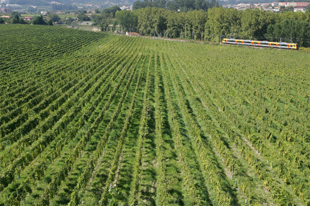 Quinta da Aveleda