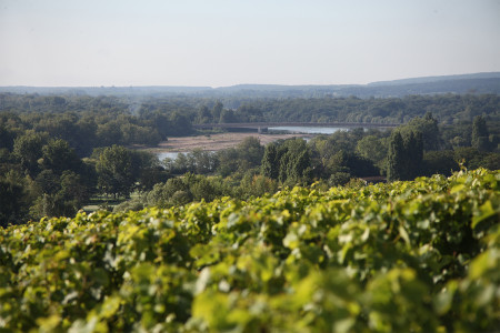 Domaine Gérard Fiou