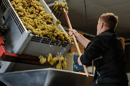 VDP.Weingut Jakob Jung