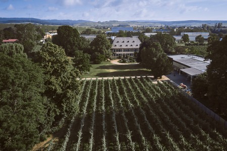 Weinmanufaktur Knyphausen