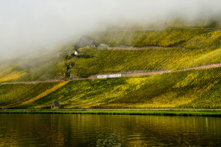 VDP.Weingut Dr. Loosen