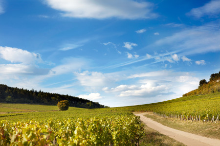 Domaine de la Bressande