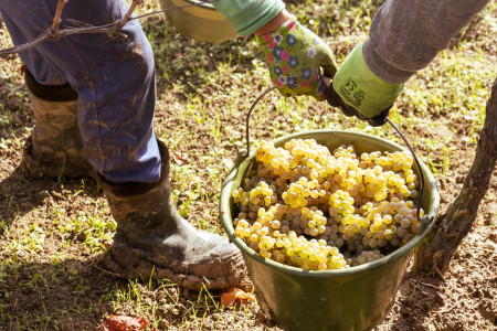 Stefan Winter - Hillview