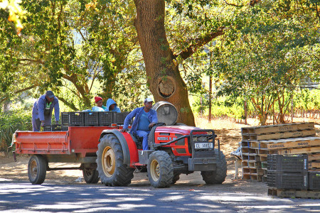Muratie Wine Estate