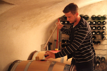 Domaine Gérard Fiou