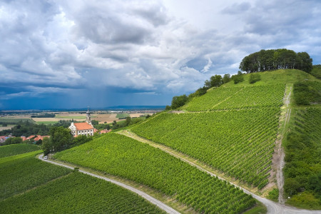 Fürstlich Castell'sche Domäne