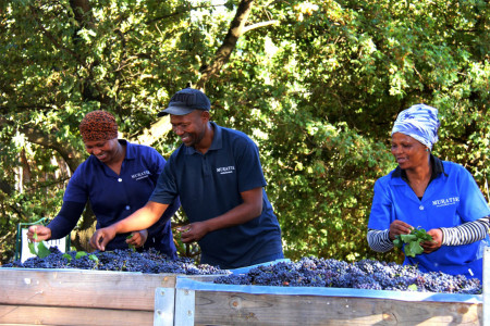 Muratie Wine Estate