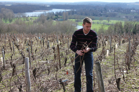 Domaine Gérard Fiou