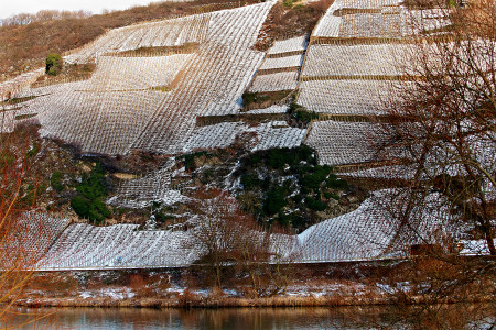 VDP.Weingut Nik Weis