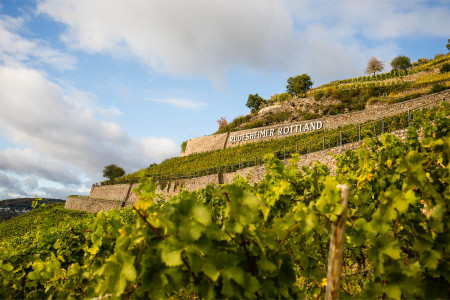 VDP.Weingut Balthasar Ress