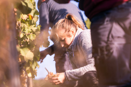 Stefan Winter - Hillview