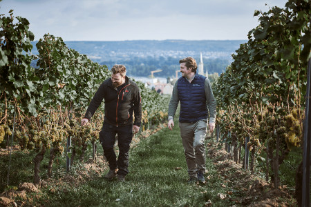 Weinmanufaktur Knyphausen