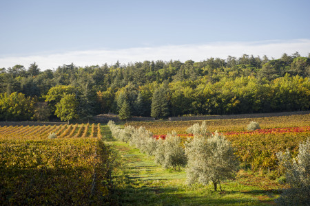 Commanderie de Peyrassol
