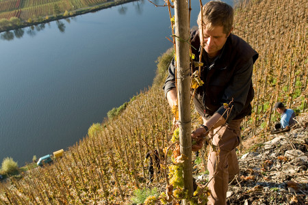 VDP.Weingut Nik Weis