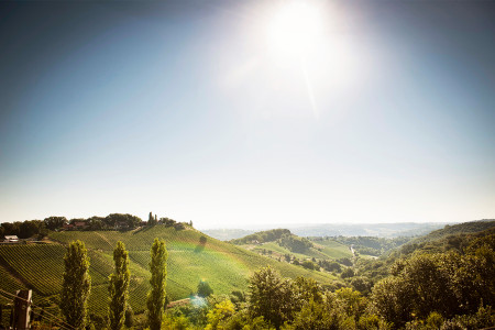Weingut Polz