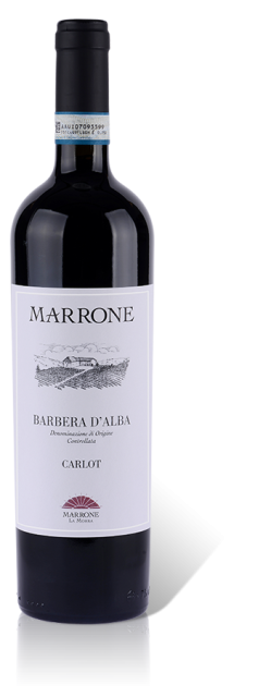 Marrone Barbera d'Alba DOC Carlot