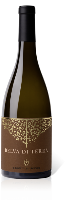 Il Conte Belva d Terra Marche Sauvignon