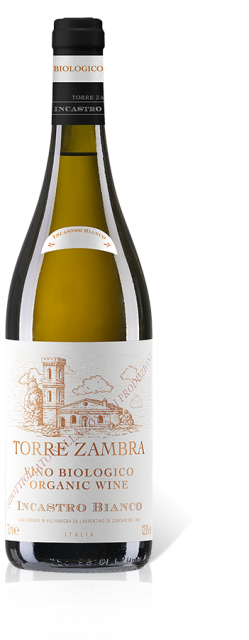 Torre Zambra Organic Incastro Bianco T. d'Abr. IGT